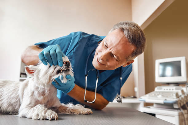 Best Emergency Root Canal Treatment in Tecumseh, OK